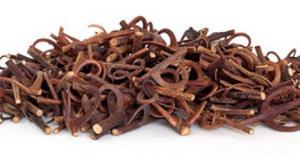 Exportaciones de uña de gato superan los US$ 540 mil