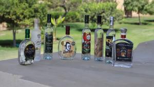 Exportaciones de vino y otras bebidas espirituosas sumaron US$ 13.6 millones