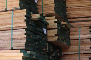 Exportaciones del sector forestal caen 7% anual desde 2008