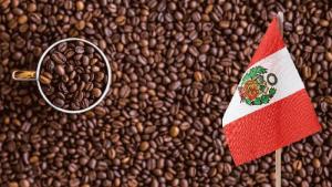 Exportaciones peruanas de café en grano verde crecen 22% en valor, pero caen -32.5% en volumen entre enero y julio