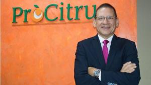 Exportaciones peruanas de cítricos crecen 16% en volumen hasta la semana 33 de la presente campaña