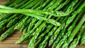 Exportaciones peruanas de espárrago fresco sumaron US$ 131 millones por 36 mil toneladas en el primer semestre de 2025