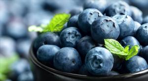 Exportaciones peruanas de productos orgánicos sumaron US$ 869 millones en 2024, mostrando un aumento de 32.2%