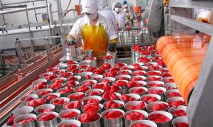 EXPORTADORES DE AJÍES Y PIMIENTOS BUSCAN MEJORAR MANEJO DE CULTIVOS