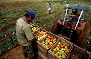 FAO: AGRICULTURA ES LA CLAVE PARA AFRONTAR FUTURO DEL AGUA Y ENERGÍA