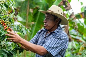 Ficafé 2021 tiene previsto recibir a más de 20 mil visitantes