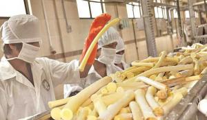 Francia y Estados fueron los principales destinos del palmito exportado por Perú en febrero de este año