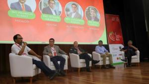 Fresa apunta a convertirse en un nuevo producto bandera del país