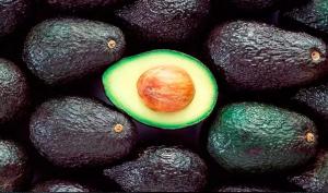 Fuerte incremento en la exportación peruana de palta a EE.UU.