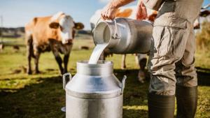 Ganaderos exhortan a seguir impulsando el consumo de leche fresca