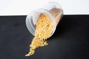 Gigante de la industria alimentaria Thai Union Group invierte en desarrollo de proteínas a base de insectos