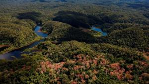 Gobierno aprobó el Reglamento de la Ley Marco sobre Cambio Climático