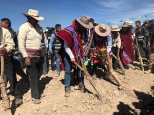 Gobierno duplica su objetivo y anuncia instalación de 300 mil hectáreas de pastos cultivados al 2021
