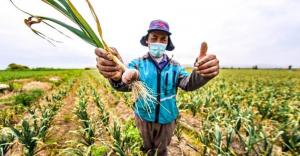 GORE Arequipa destina S/15 millones para reiniciar nueve proyectos agropecuarios
