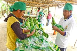 Gremios agrarios recibirán cofinanciamiento de Agroideas para mejora de capacidades