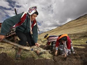 Guardianes de las semillas de América se pondrán a la vanguardia en materia de bancos de germoplasma