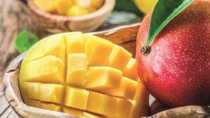 ¿Hacia dónde camina la industria del mango en Europa?