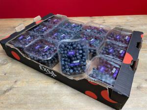 "Hay un desequilibrio en el mercado de los arándanos por la disparada oferta de Perú"