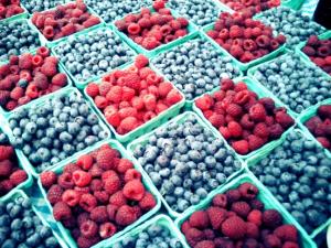 HOY SE INICIA EL V SEMINARIO INTERNACIONAL DE BERRIES Y CEREZAS