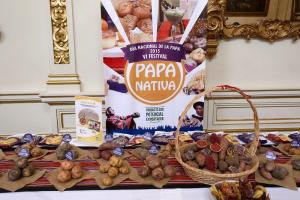 HOY SE INICIA EL VI FESTIVAL DE LA PAPA NATIVA EN PARQUE DE LA EXPOSICIÓN