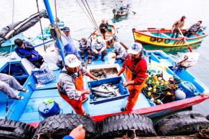 Implementación de nuevo reglamento de inocuidad para la pesca y acuicultura fortalece la protección de los consumidores y la seguridad alimentaria