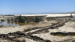 Implementarán parcelas demostrativas en Ica para hacer frente a los desbordes de ríos