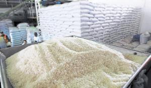 Importación de arroz crece 30% en volumen durante enero-octubre del presente año