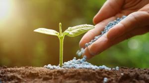 Importaciones de fertilizantes crecen 11.6 millones en valor