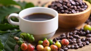 Inacal elaboró 36 Normas Técnicas Peruanas  y 7 Guías Especializadas para impulsar la calidad del café y llegar a nuevos mercados