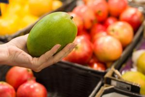 Industria mexicana de mango busca incrementar consumo en EE.UU. y llegar a Europa en excelentes condiciones