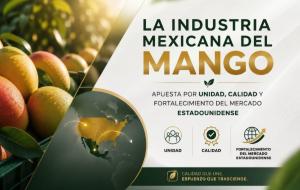 Industria mexicana del mango apuesta por unidad, calidad y el fortalecimiento del mercado estadounidense