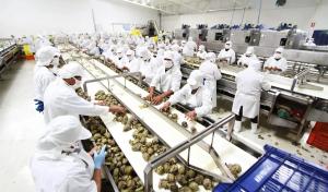 INEI autoriza ejecución de Encuesta Estadística Agroindustrial Mensual 2025-2028