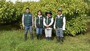 INIA busca mejorar la calidad genética del achiote en la región San Martín