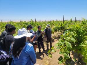 INIA fortalece proyectos de innovación para el desarrollo del sector agrario en Tacna