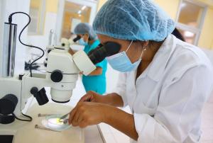 INIA hará visita técnica a proyecto Chinecas para potenciar producción biotecnológica