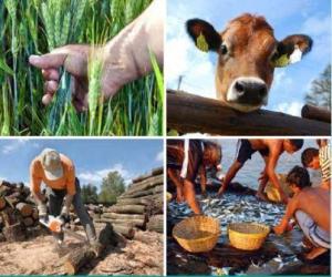 INIA INTRODUCIRÍA 20 MIL ESPECIES AGRÍCOLAS A SU BANCO DE GERMOPLASMA 