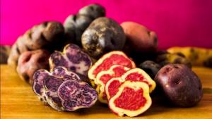 INIA liberaría pronto nuevas variedades de papas nativas biofortificadas