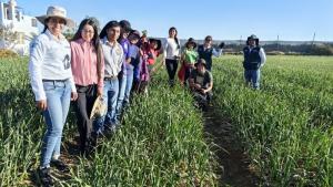 INIA transfiere tecnologías para incrementar calidad genética del ajo en Arequipa