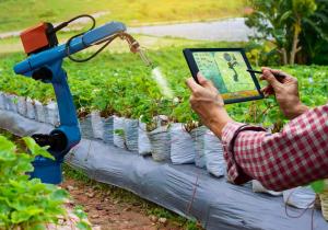 Innovación en Agricultura: 10 Tendencias Tecnológicas