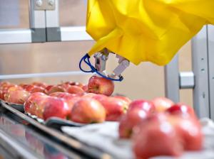 Innovación varietal en manzana será el tema central de Interpoma 2020