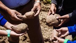 InnovaSuyu impulsará estrategias de innovación en sectores productivos de 13 regiones