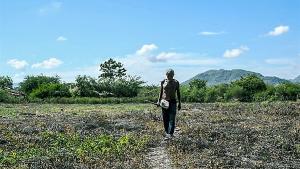 Inseguridad alimentaria amenaza a América Latina