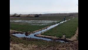 La Libertad: se aceleran trabajos de reconstrucción para atender a productores