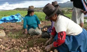 La mujer, aliada del gran desarrollo agrícola del Perú