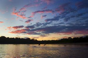 LANZAN CAMPAÑA PARA DAR A CONOCER EL CORREDOR PURÚS MANU