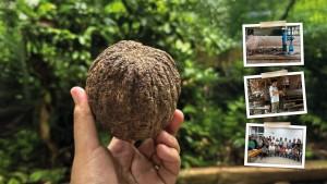 Lanzan nueva Hoja de Ruta para la Castaña Amazónica al 2030