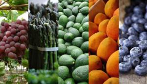 Las exportaciones peruanas de frutas y hortalizas frescas están creciendo rápidamente