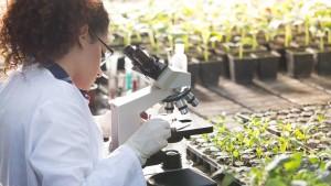 Las tecnologías agrícolas digitales crecen tres veces más rápido que la media ante el reto cada vez mayor de la seguridad alimentaria mundial