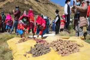 Levantan restricciones de productos vegetales peruanos en mercado boliviano