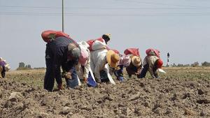 Ley agraria dará frutos para el mercado laboral